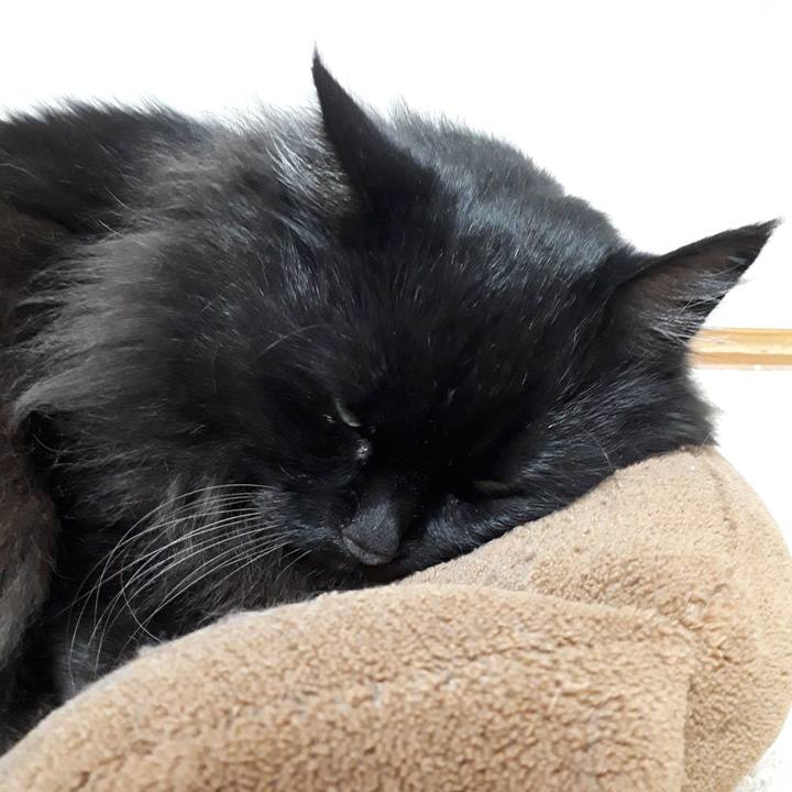 8b993c3b 92f8 4777 a7f6 bf01f354d95e 1523619414279