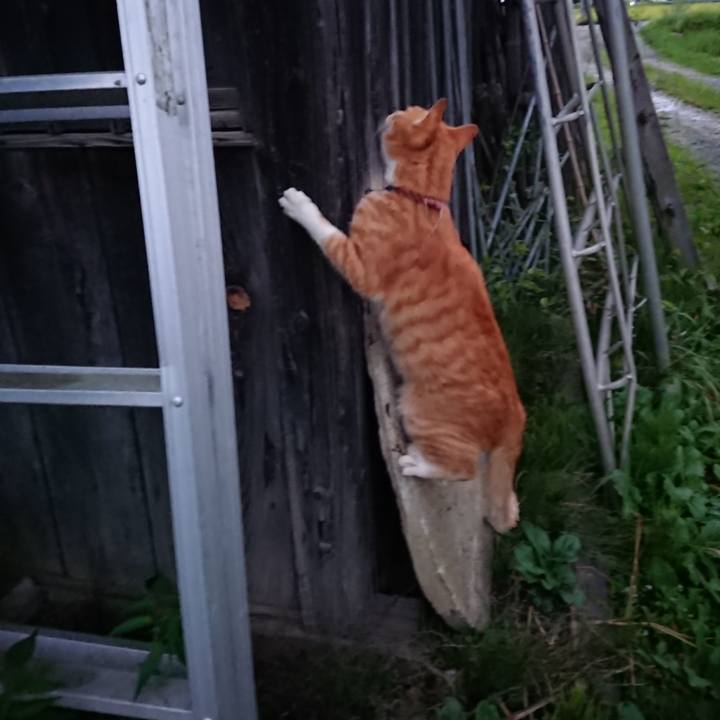 8b9942d7 f287 423b aa8f fbe6095d4984 1568193488212