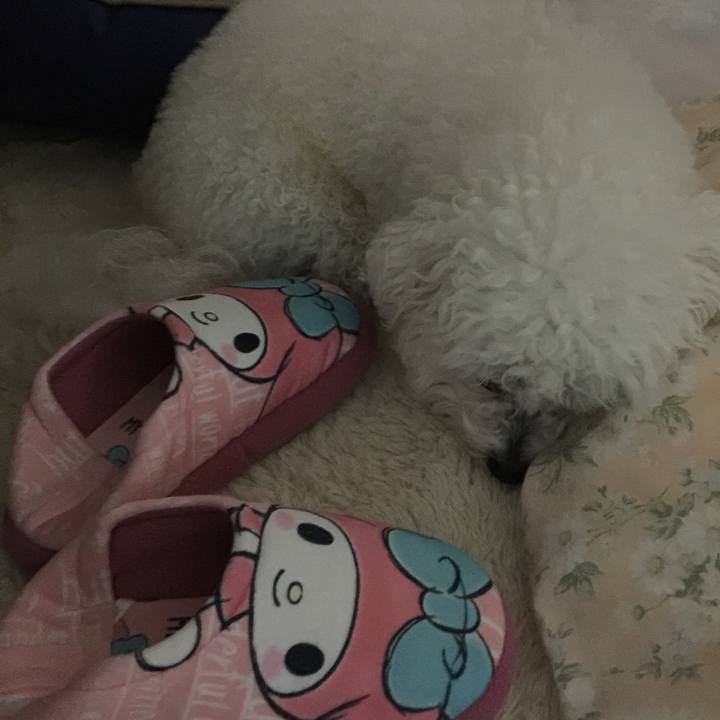 8b997246 a5c7 4904 b874 0c8893d04256 1543839192049