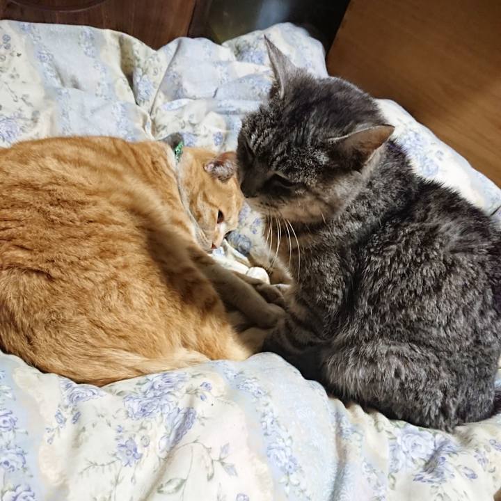 8b999d9e 0be5 4dc2 9a8d 307b67433273 1582892436847