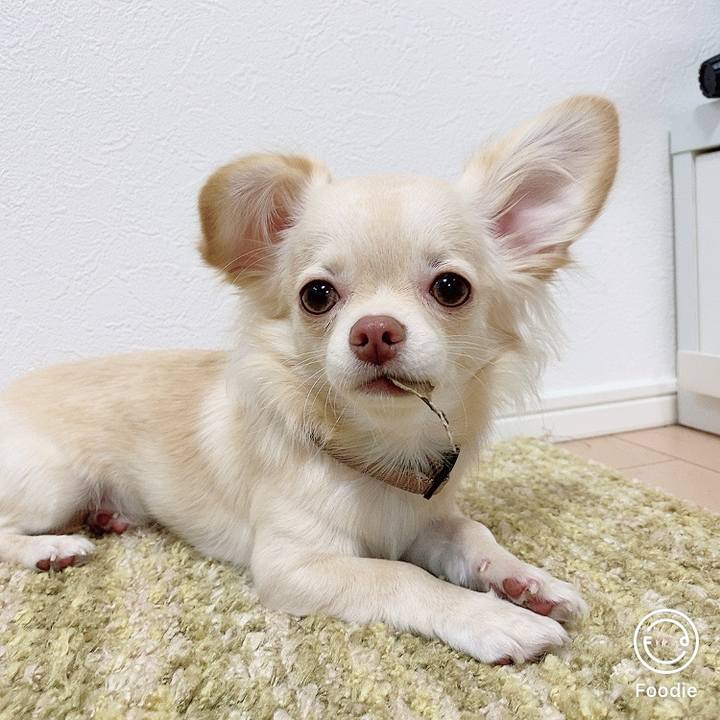 8b99a419 3733 4611 9532 00905c7026d5 1603705183736