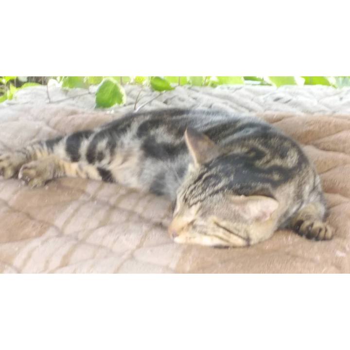 8b99b67d a4d4 41d6 87e9 e80fff36d578 1596260913333