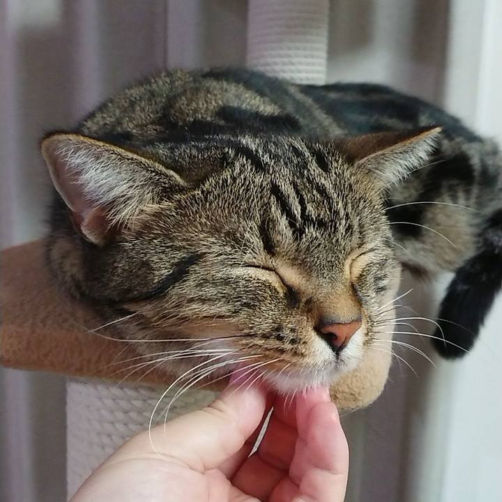 8b99c72e 1edb 483c 9cd6 b01052ada86b 1569029882052