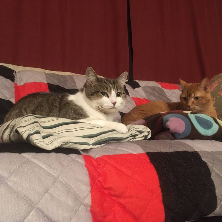 8b99f78c f993 4a80 a207 ed70d9e85fa0 1633134010068