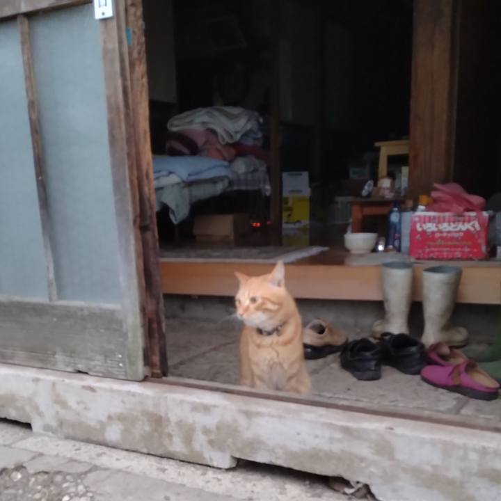 8b9a171d 51f1 4d2f 8da5 2fa3a439c75e 1664487168153