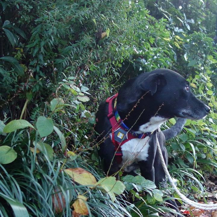 8b9a5218 5f29 4829 8933 7cf9f889a730 1667090785923