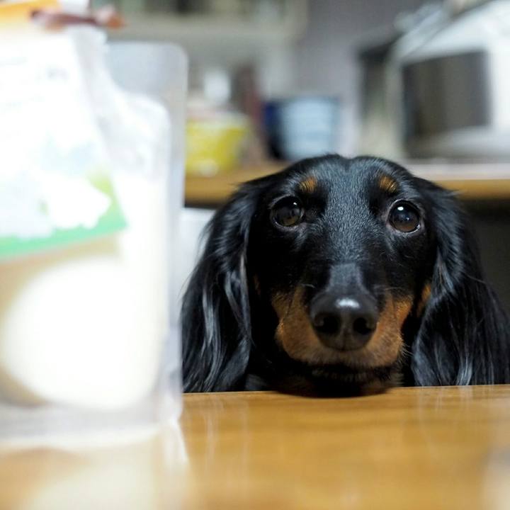 8b9a6c12 d3bb 4eda 9014 55212167f480 1519345761366