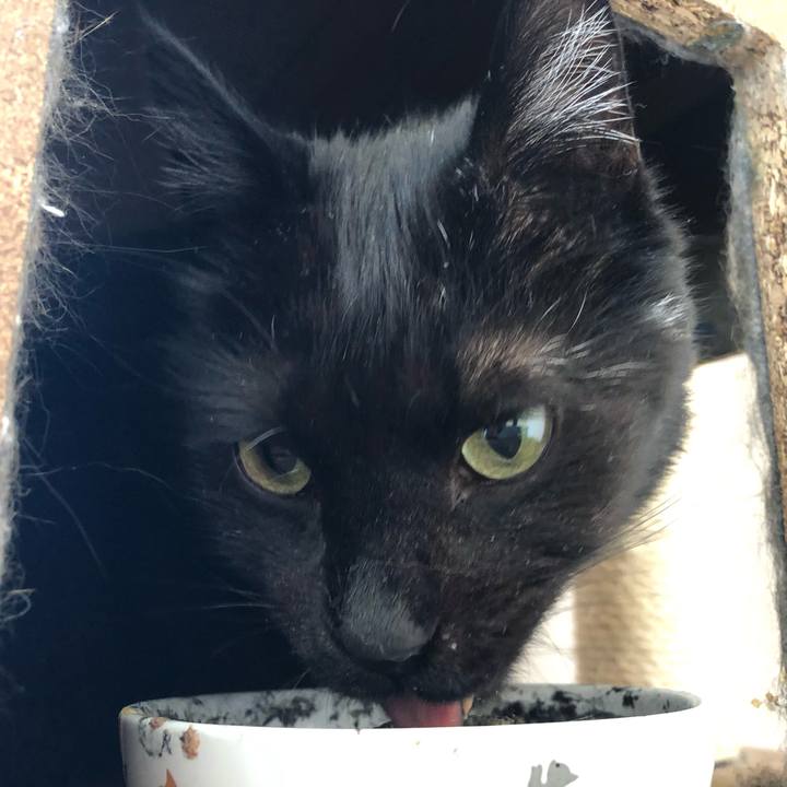 8b9a6cd4 bf96 4507 aa85 7a155c990acf 1587422882427