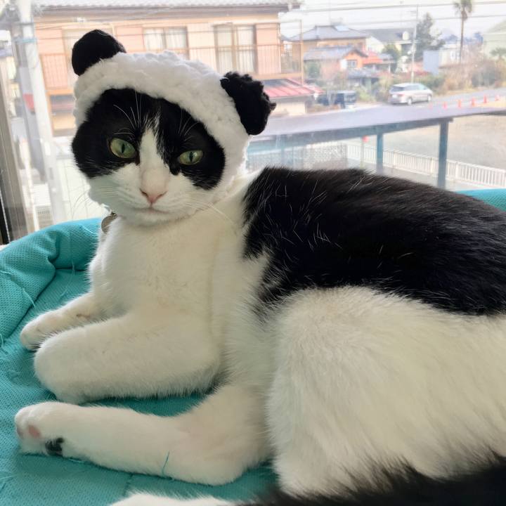 8b9a90d1 49f9 478c 968f 42a769d6bd1f 1514101495415