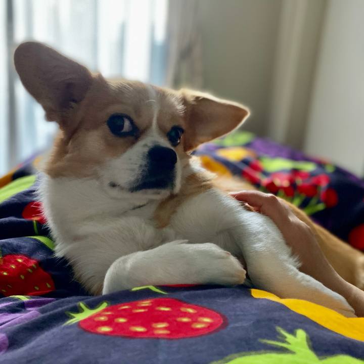 8b9ac3b8 28b1 4a24 b4cb 28c70d0c645f 1607898808904