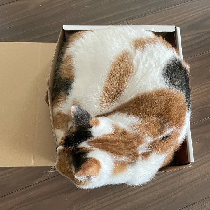 8b9acdbf 5092 4ef9 9d15 f1ca47ecb5a8 1640921278502