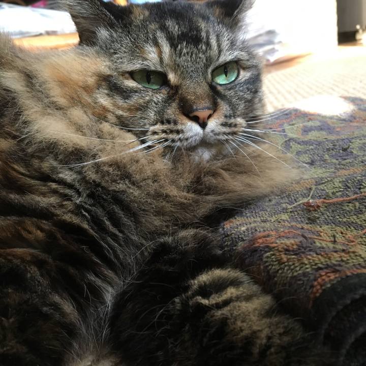 8b9ae2c5 6546 47e1 9fb2 93e36dbcd2c2 1570203457249