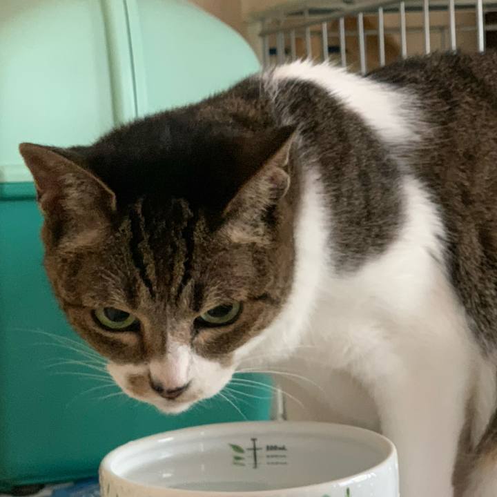 8b9ae529 42b1 44c3 881e b6ae28689c14 1600389926850