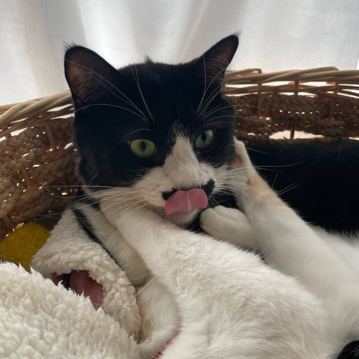 8b9b7782 7c5e 4731 9ad8 5fe3e566cccb 1730093755492