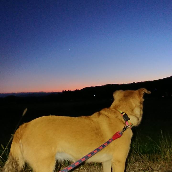 8b9b7d1c d12d 4c15 aca5 d9f257450e51 1634298044768