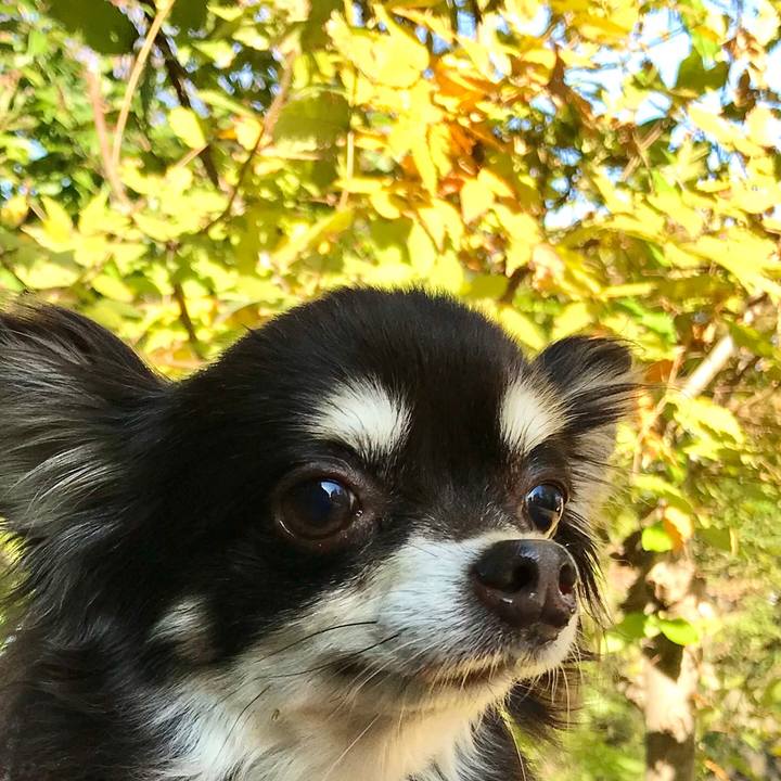 8b9be77e bfb3 4041 b4d9 891fa7a06ff9 1573881938425