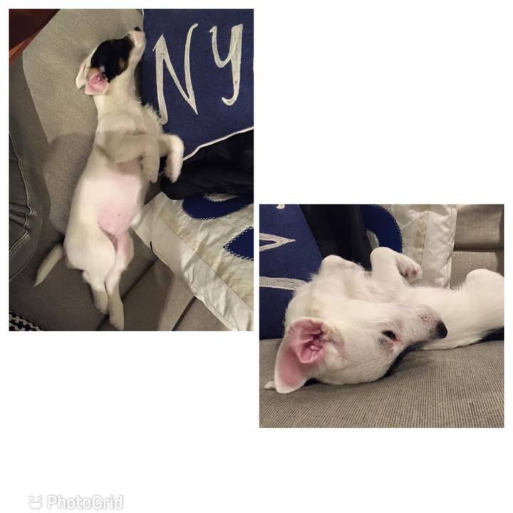 8b9bf25c cd81 4911 b2f2 420636a676fc 1645506285544