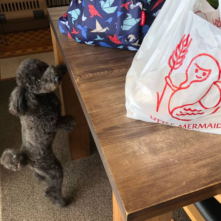 8b9c33fb 24ff 41f0 ba11 195a109269be 1600261050790