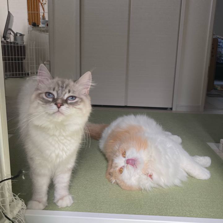 8b9c4476 5686 4407 a827 b79df5fc00b3 1682781343039