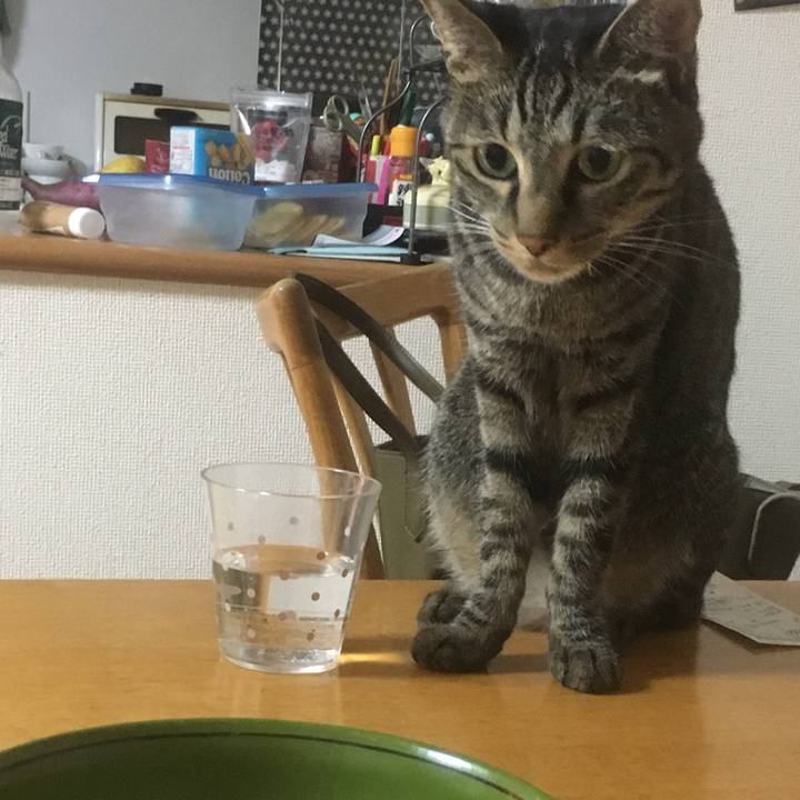 8b9c4fef 5aea 42d4 85c5 b2478a4c0a51 1546489803266