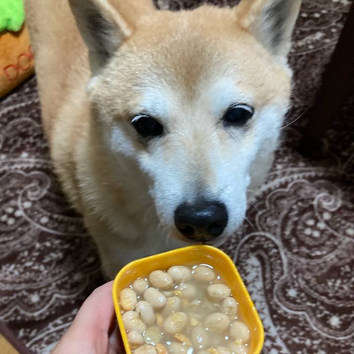 8b9c79ed b887 4761 8492 b7f5378a2252 1612352613328