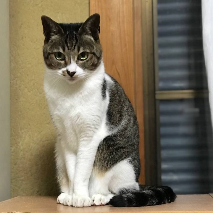 8b9ca5fa e5be 4b44 ab10 70c3ce6fa689 1520558929091