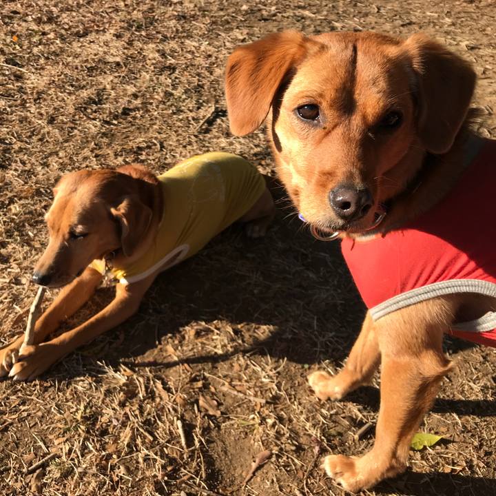 8b9cf7e7 914f 46b8 a650 d049ab4dba2e 1550211895506