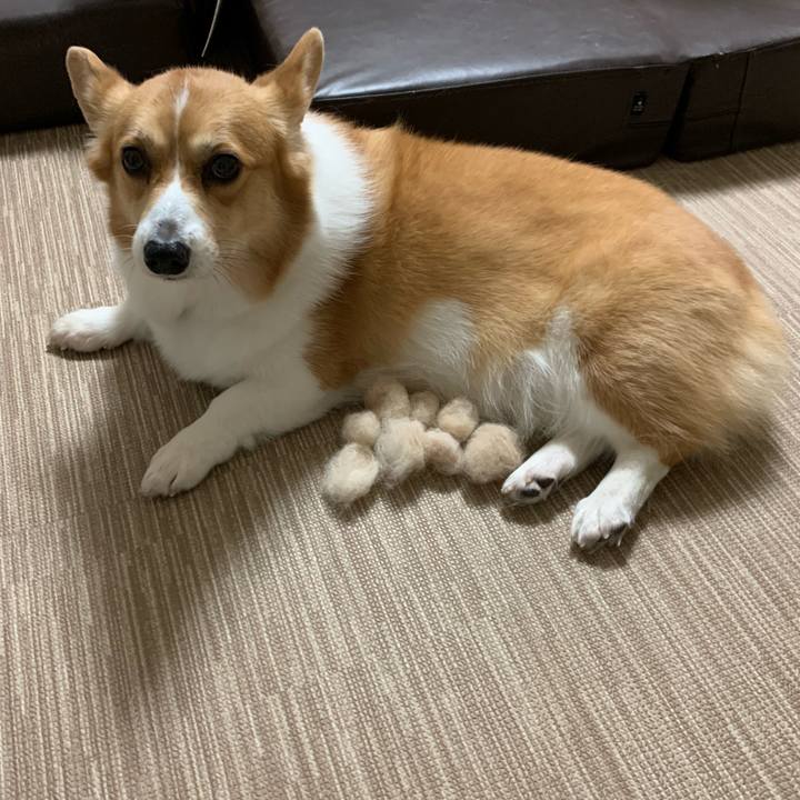 8b9cf8e2 8341 4099 a4c3 8c6a756aba47 1576985967501