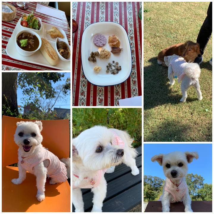 8b9d2a04 371e 4742 817c f066de32050e 1602402424895