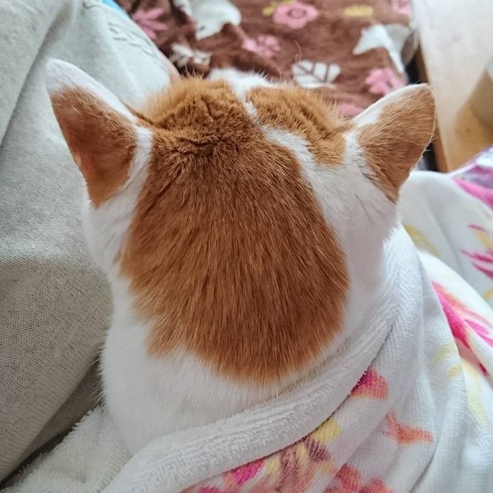 8b9dd361 7c45 449a 8db6 e1c8a7879080 1525073883277