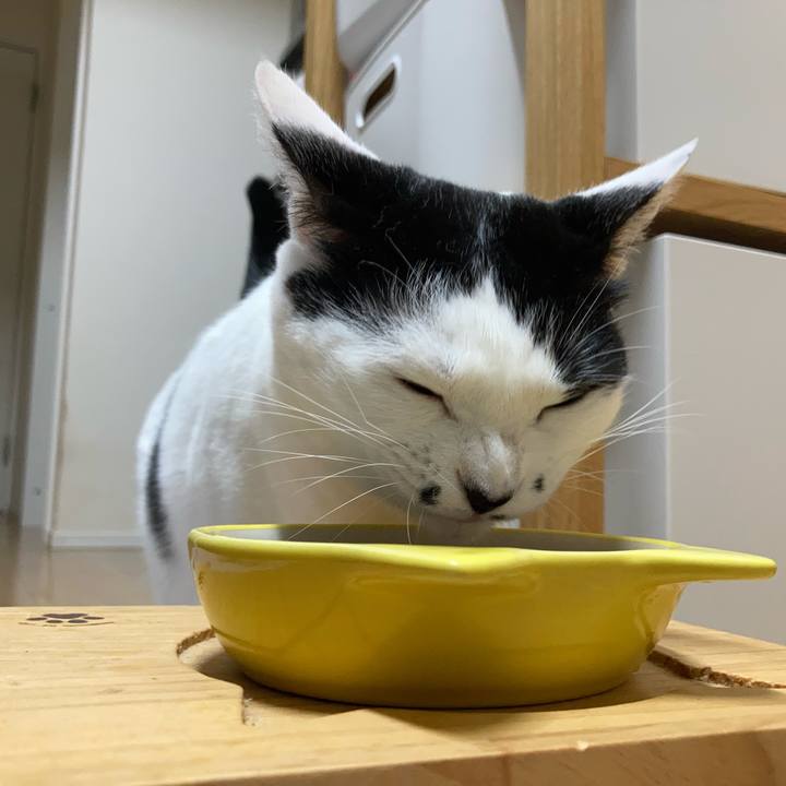 8b9de8f1 d079 456c b1b2 6be820eb5cbd 1760560950274