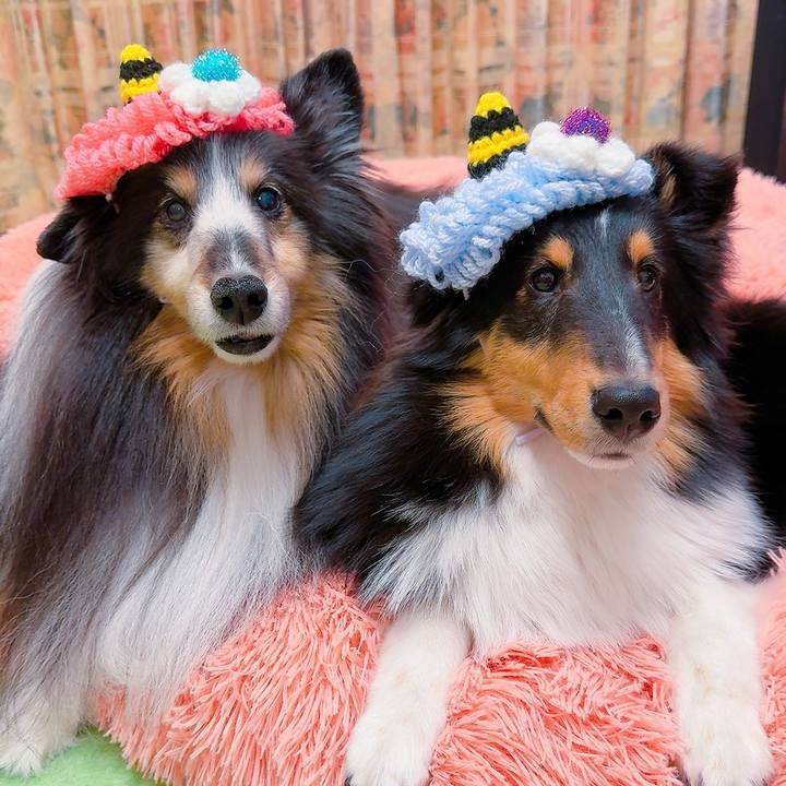 8b9e1761 d40b 4eff b0fa 3c6a799fb533 1738475332912