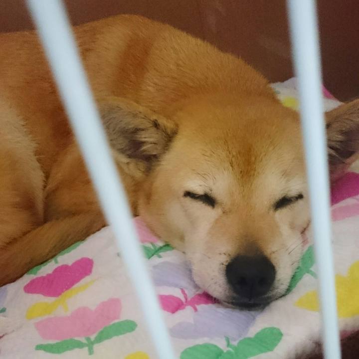 8b9e3f14 009f 44b6 8361 53f911492186 1556379348893