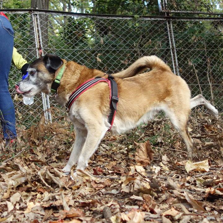 8b9e77e4 230d 40bb 875a 48415ed7997b 1543111164207