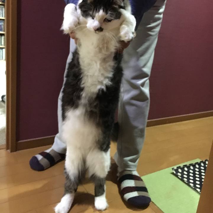 8b9eba72 4a6c 40b2 a225 1ca613815d7c 1549769843063