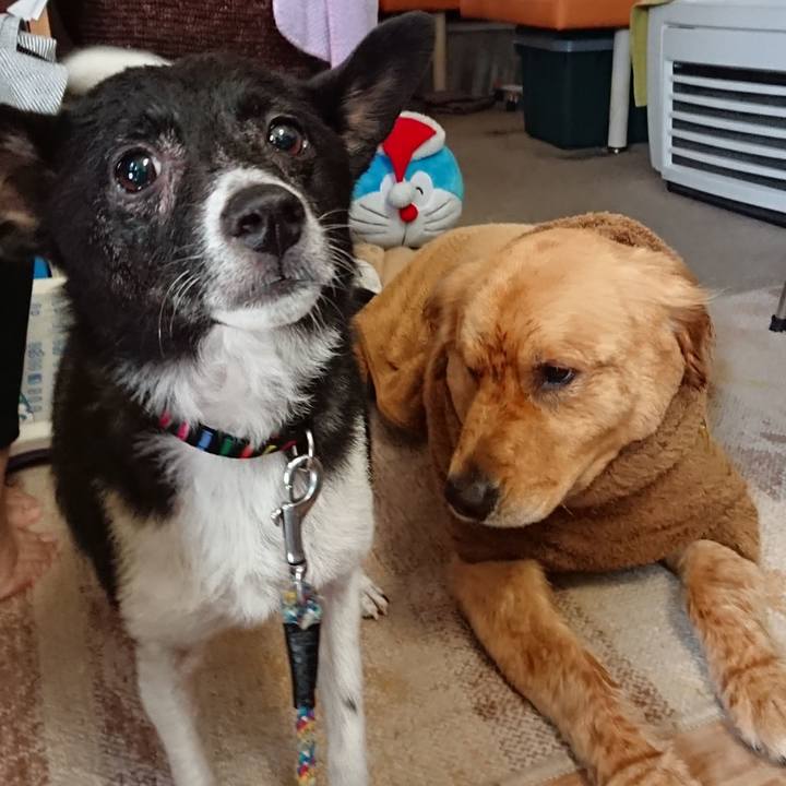 8b9ec9c9 69ad 4d4d aa7d 271241d19c32 1564995824501