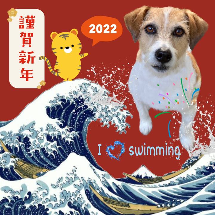 8b9ee2b6 2fbb 4f32 a20b 3471c780ac87 1640996559388