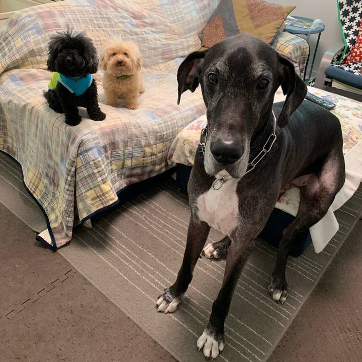 8b9ef9c1 a9f2 46bd 9b63 7232ac383743 1569537088568