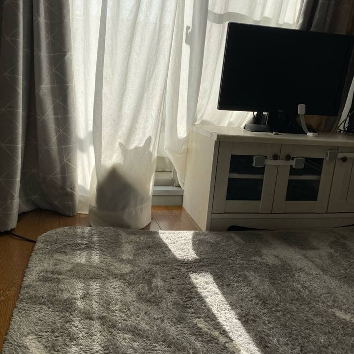 8b9f18c8 d96e 44ff 81f3 b6b7b4613865 1607388856505