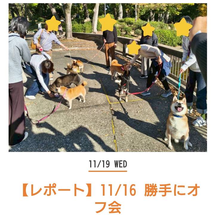 8b9f1c40 75f5 4f3b 8a06 5b807732d425 1763520619695