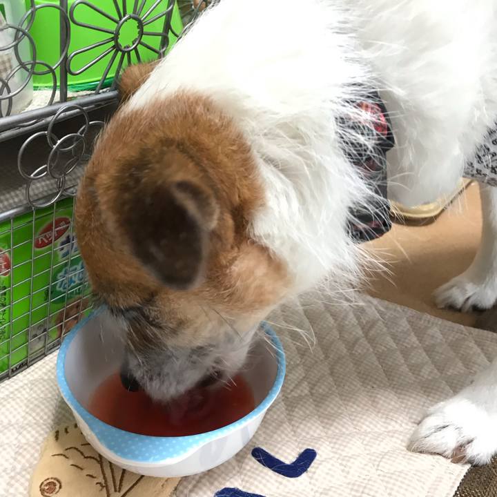 8b9f2425 a19c 46eb 8bf8 8dc49069242e 1565330583006