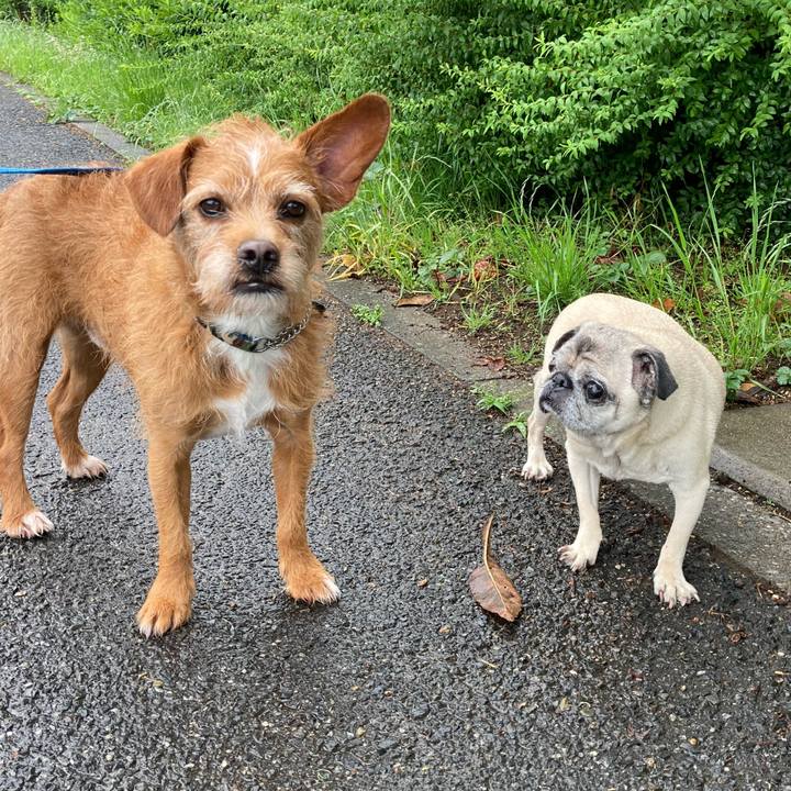 8b9f47db 383a 4c3e 9914 bb6189a3befc 1621414084049