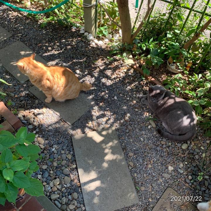 8b9f5742 221a 4e63 ada6 3cd907b3c107 1626935230391