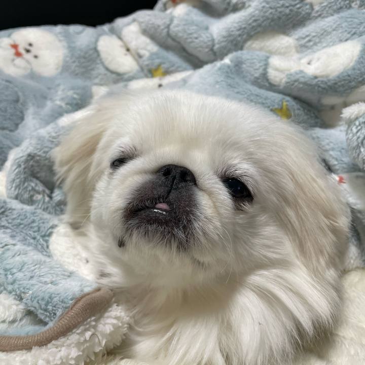 8b9f7fcb d341 462c ab43 efe7081d5cc9 1676684703911