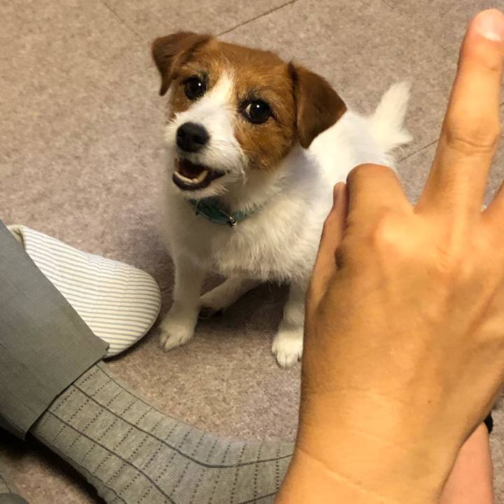 8b9f9b97 4627 4066 834f d9a102262142 1560687132520