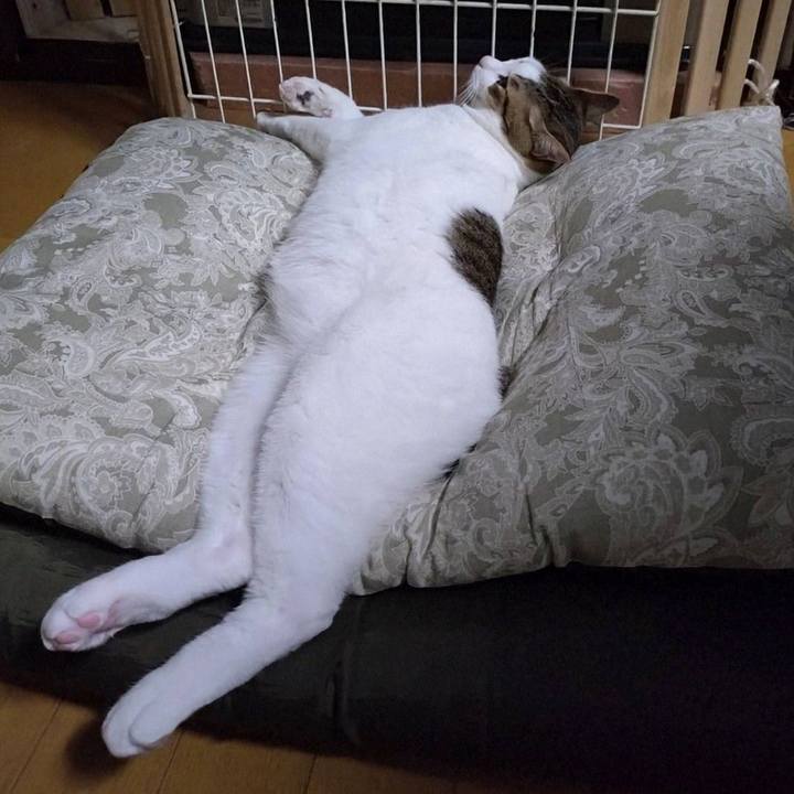 8ba02273 f307 4491 95b1 e60dc0558308 1729777708376