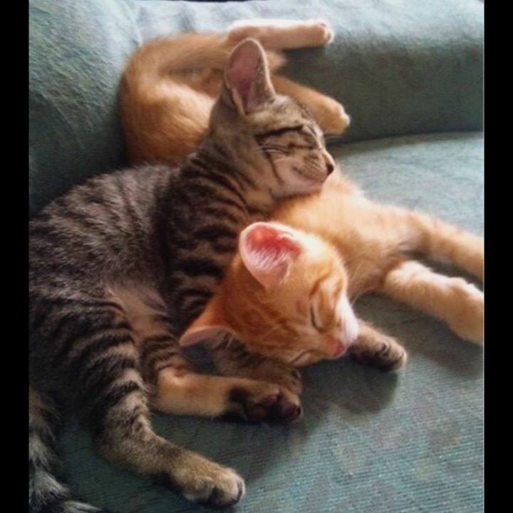 8ba07589 ed62 4e03 9dd1 4f1d9a845eba 1613974015328