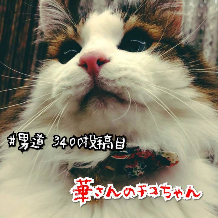 8ba08a1c 7261 4e3f a2b7 31381c283f65 1571302999403