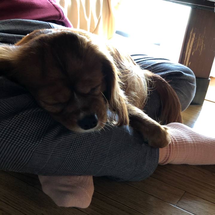 8ba0a037 d7b0 4b8f a215 f8a92bb84cb6 1570972424332