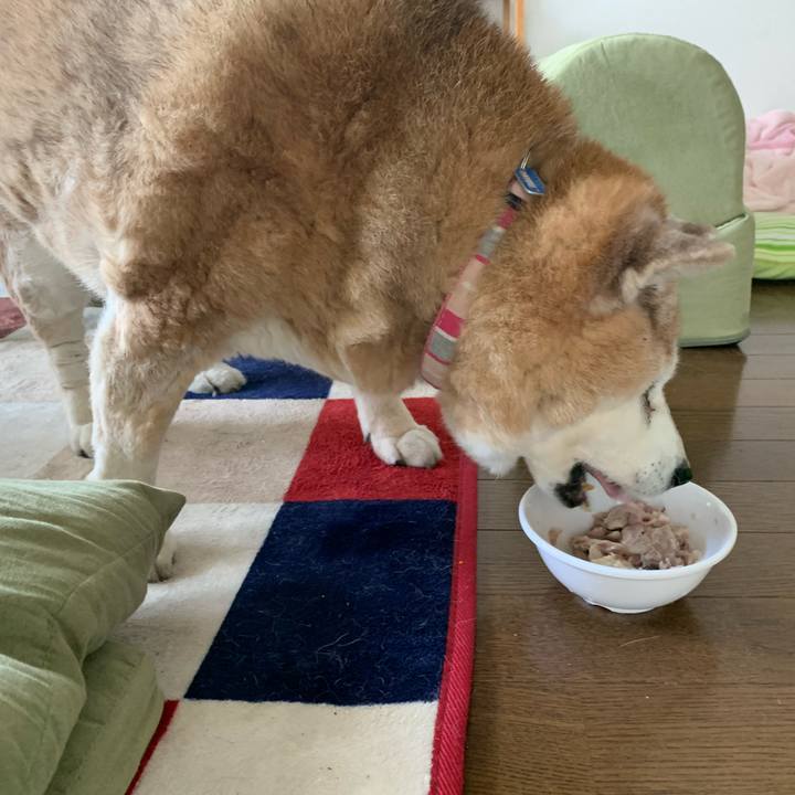 8ba0f2eb 7e5d 4766 a523 34e92c3e3765 1651719269502